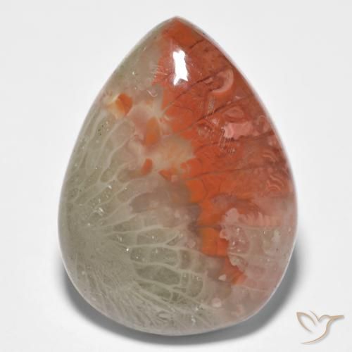 10.86ct Natural Multicolorido Coral, Formato de pêra, Translúcido