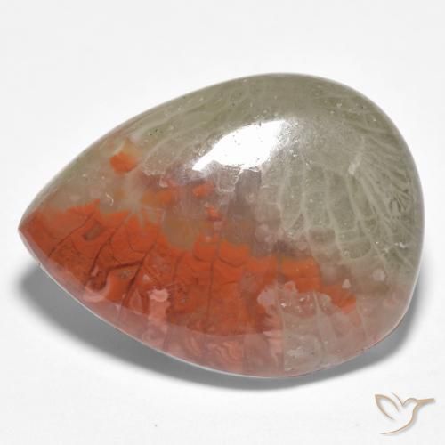 Coral Multicolorido Natural 10.86ct, Formato de pêra, Translúcido