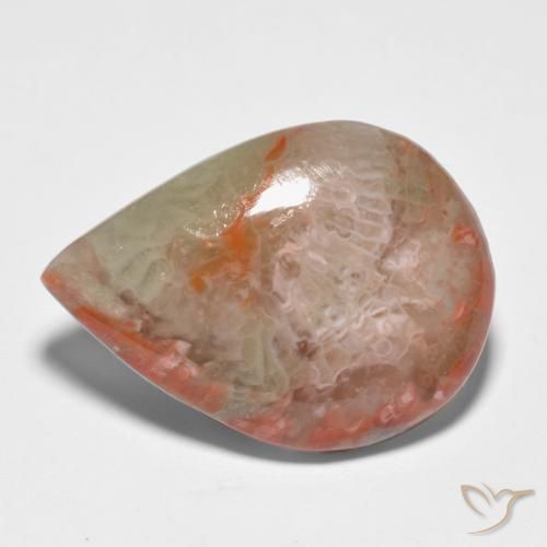 Coral Multicolorido Natural 11.65ct, Formato de pêra, Translúcido