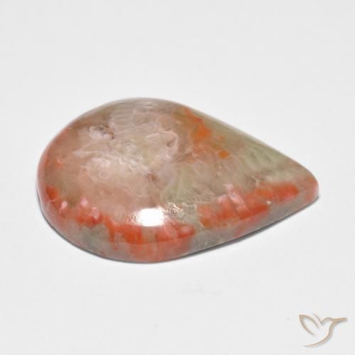Coral Multicolorido Natural 11.65ct, Formato de pêra, Translúcido