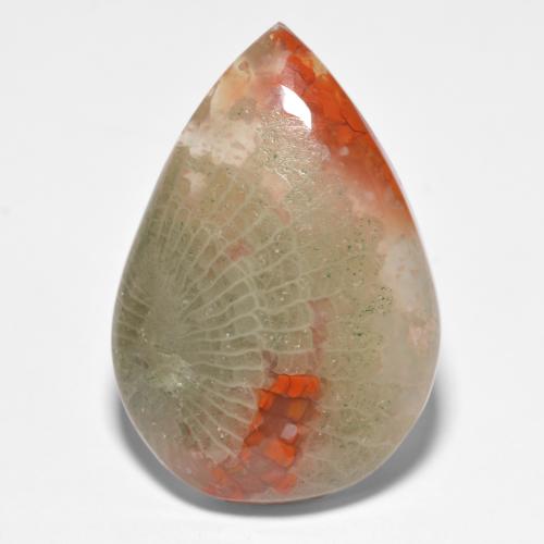 Coral multicolorido natural 15,90ct, formato de pêra, translúcido