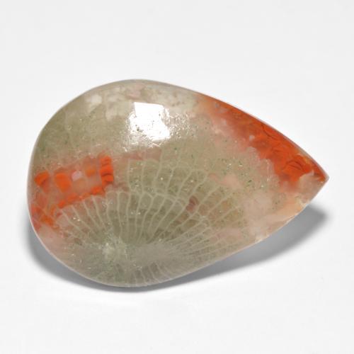 Coral multicolorido natural 15,90ct, formato de pêra, translúcido