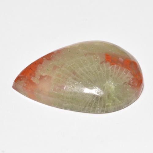 Coral multicolorido natural 15,90ct, formato de pêra, translúcido