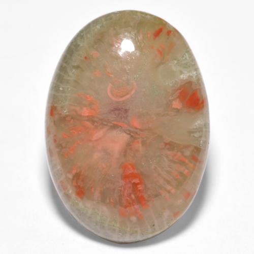 Coral multicolorido natural 10,04ct, corte oval, translúcido