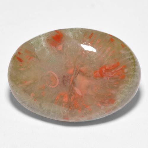 Coral multicolorido natural 10,04ct, corte oval, translúcido