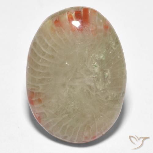 8.81ct Natural Multicolorido Coral, oval, Translúcido
