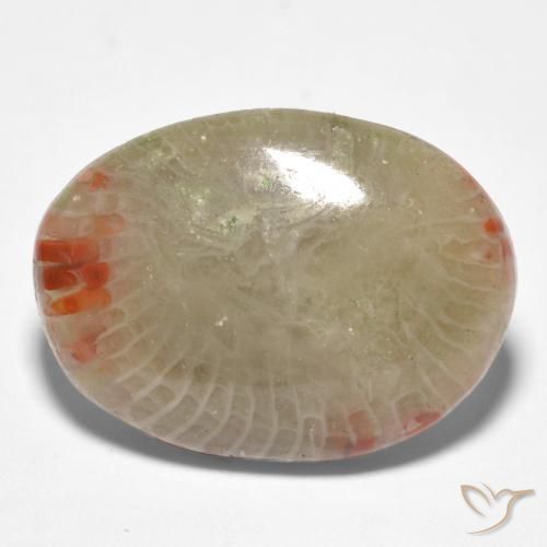 Coral Multicolorido Natural 8.81ct, oval, Translúcido