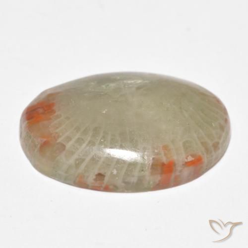Coral Multicolorido Natural 8.81ct, oval, Translúcido