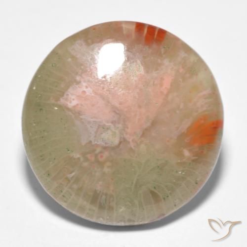 11.91ct Natural Multicolorido Coral, Redondo, Translúcido