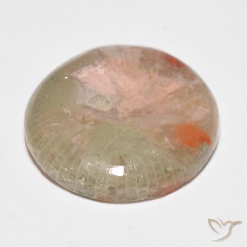 Coral Multicolorido Natural 11.91ct, Redondo, Translúcido