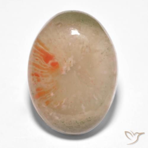 10.34ct Natural Multicolorido Coral, oval, Translúcido