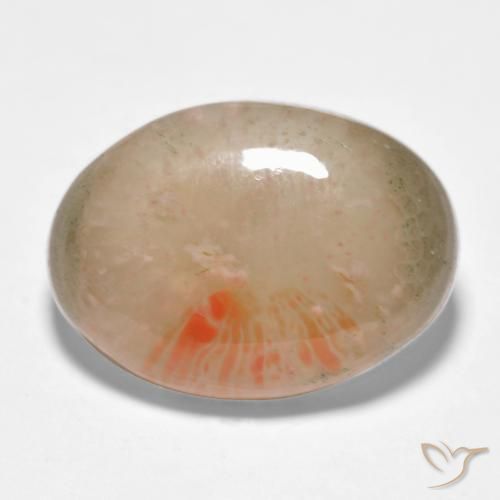 Coral Multicolorido Natural 10.34ct, oval, Translúcido