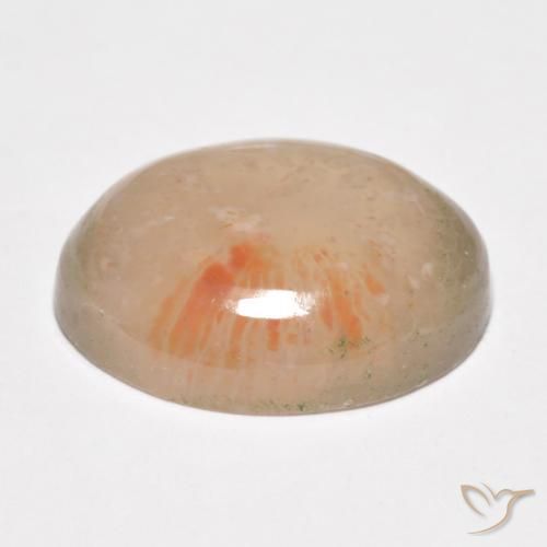 Coral Multicolorido Natural 10.34ct, oval, Translúcido