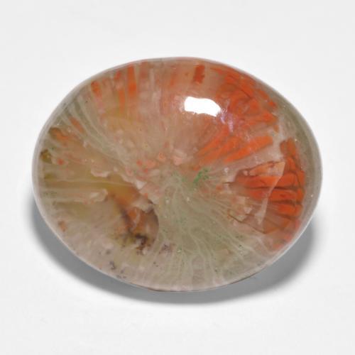 Coral multicolorido natural 11,35ct, corte oval, translúcido