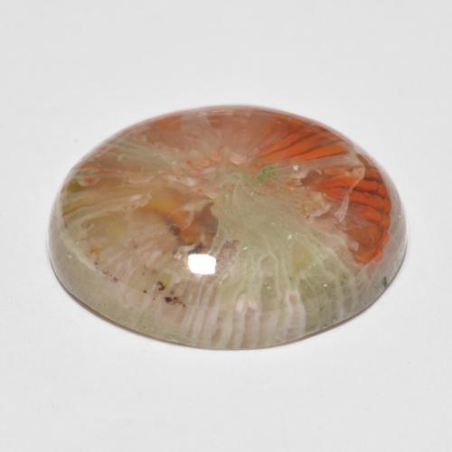 Coral multicolorido natural 11,35ct, corte oval, translúcido