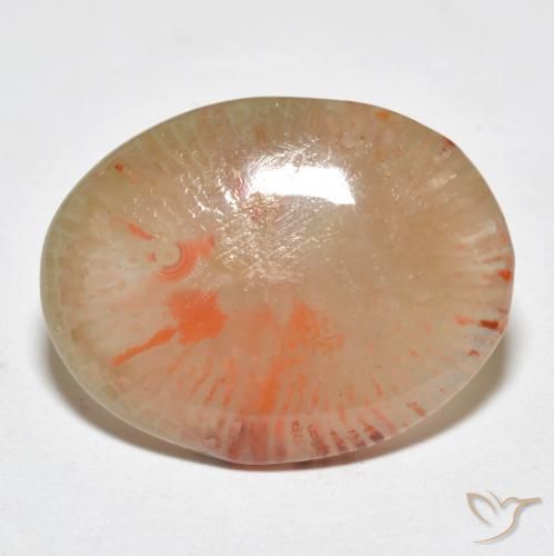 Coral Multicolorido Natural 9.95ct, oval, Translúcido