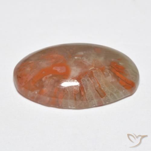 Coral Multicolorido Natural 8.18ct, oval, Translúcido