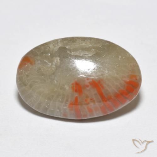Coral Multicolorido Natural 6.51ct, oval, Translúcido