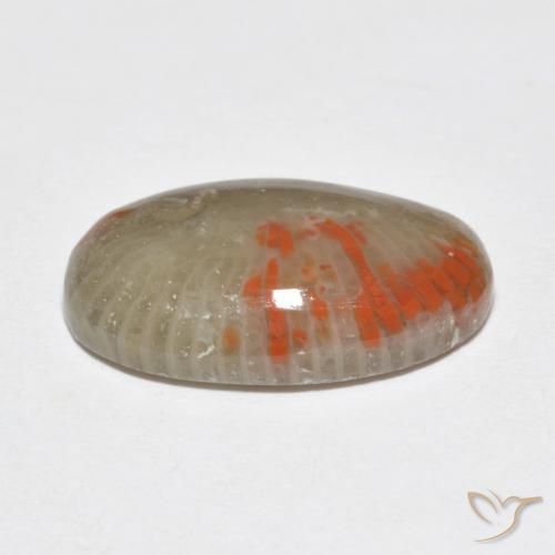 Coral Multicolorido Natural 6.51ct, oval, Translúcido