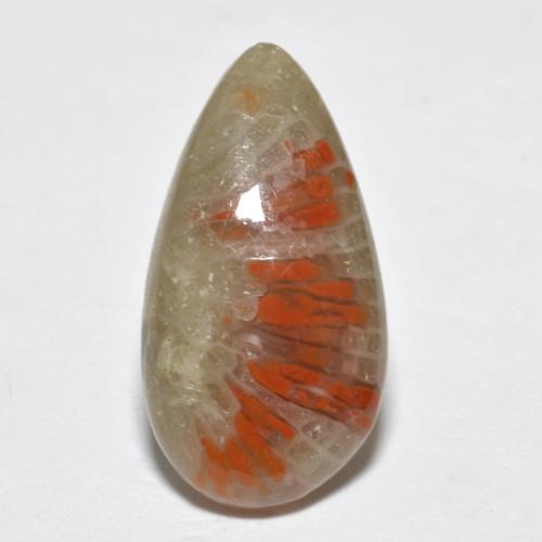 Coral multicolorido natural 4,62ct, formato de pêra, translúcido