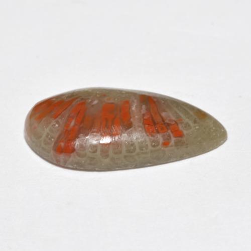 Coral multicolorido natural 4,62ct, formato de pêra, translúcido