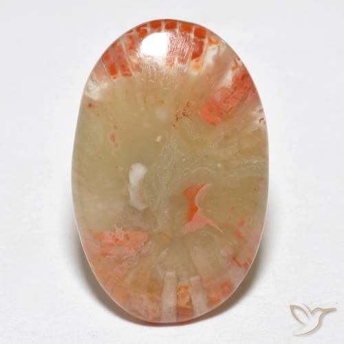6.23ct Natural Multicolorido Coral, oval, Translúcido