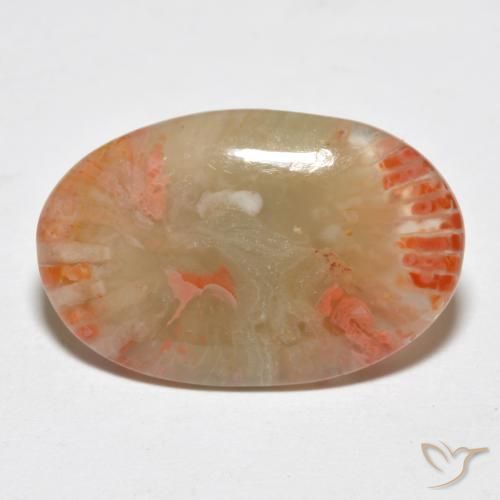 Coral Multicolorido Natural 6.23ct, oval, Translúcido