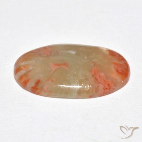 Coral Multicolorido Natural 6.23ct, oval, Translúcido