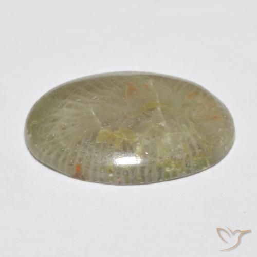 Coral Multicolorido Natural 7.96ct, oval, Opaco