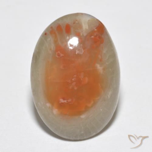 7.46ct Natural Multicolorido Coral, oval, Translúcido