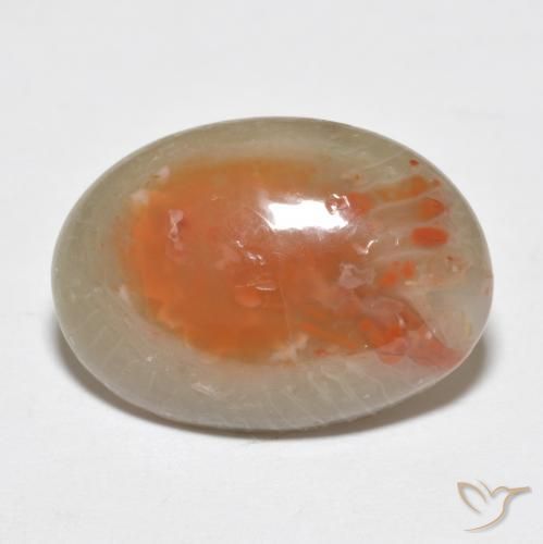 Coral Multicolorido Natural 7.46ct, oval, Translúcido