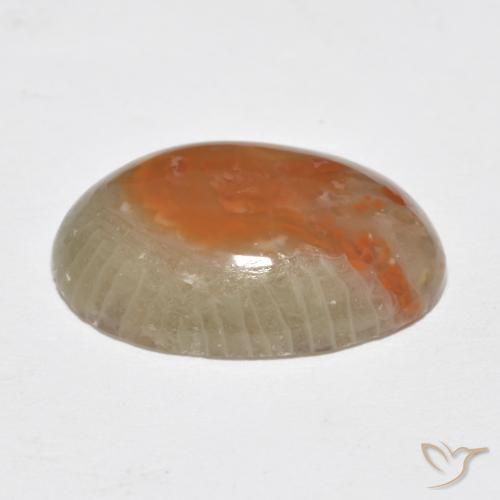 Coral Multicolorido Natural 7.46ct, oval, Translúcido