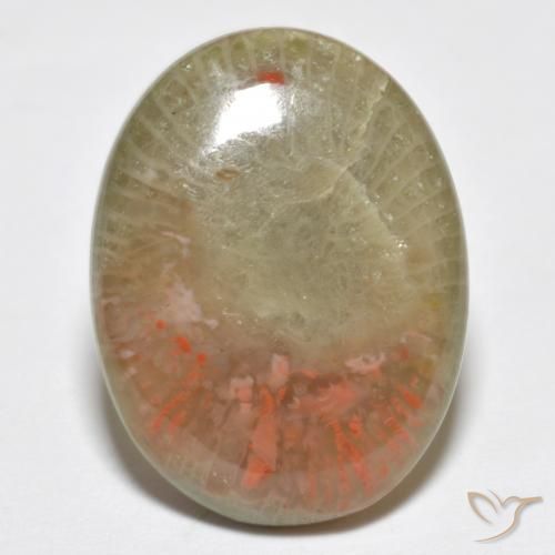 10.63ct Natural Multicolorido Coral, oval, Translúcido