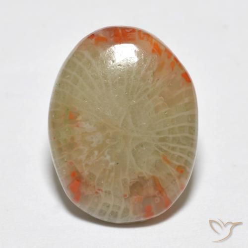 5.78ct Natural Multicolorido Coral, oval, Translúcido