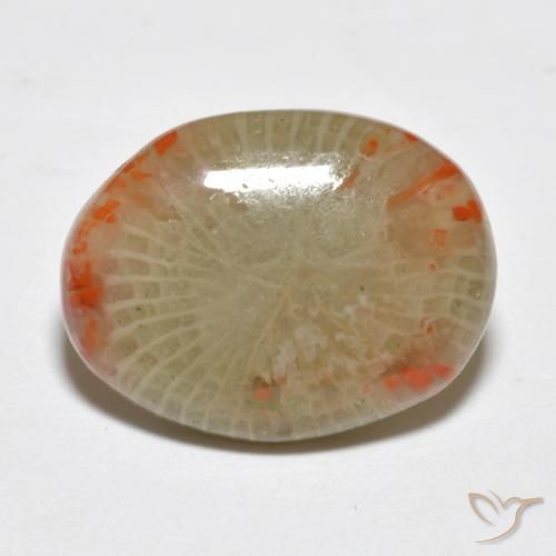 Coral Multicolorido Natural 5.78ct, oval, Translúcido