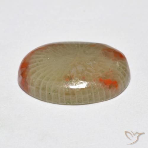 Coral Multicolorido Natural 5.78ct, oval, Translúcido