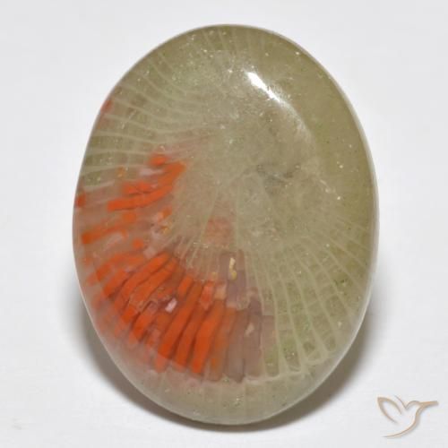 10.77ct Natural Multicolorido Coral, oval, Translúcido