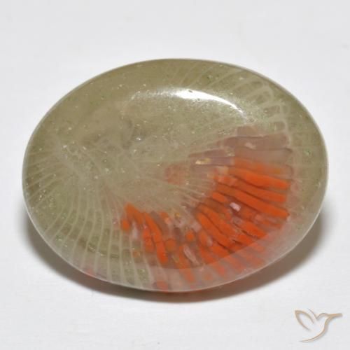 Coral Multicolorido Natural 10.77ct, oval, Translúcido