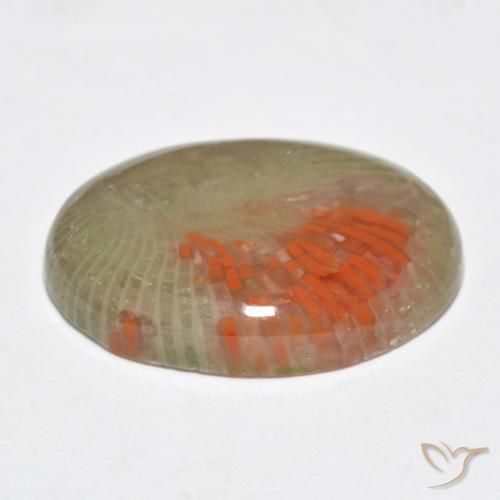 Coral Multicolorido Natural 10.77ct, oval, Translúcido