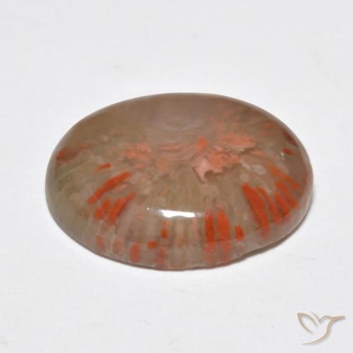 Coral Multicolorido Natural 9.15ct, oval, Translúcido