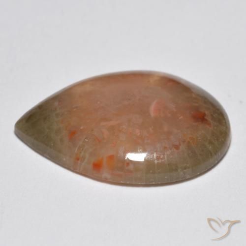 Coral Multicolorido Natural 6.81ct, Formato de pêra, Translúcido