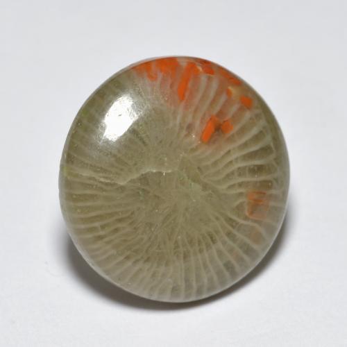 Coral multicolorido natural 5,10ct, corte redondo, translúcido