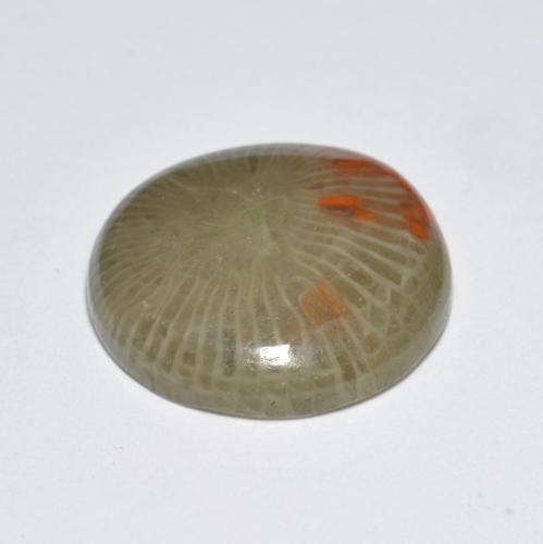Coral multicolorido natural 5,10ct, corte redondo, translúcido