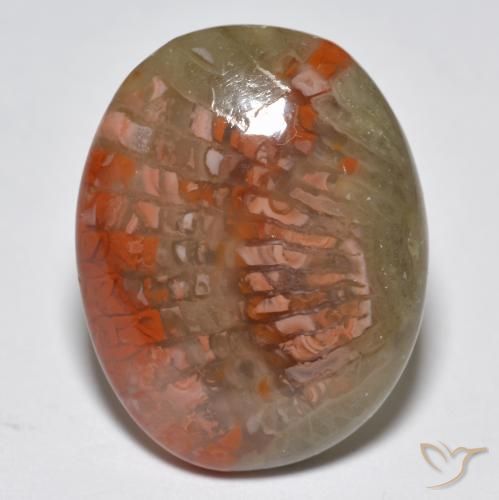 10.87ct Natural Multicolorido Coral, oval, Translúcido