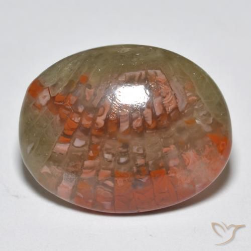 Coral Multicolorido Natural 10.87ct, oval, Translúcido