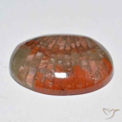 Coral Multicolorido Natural 10.87ct, oval, Translúcido
