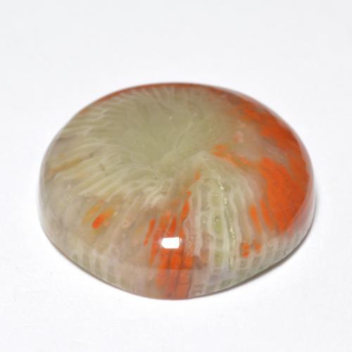 Coral multicolorido natural 10,03ct, corte redondo, opaco