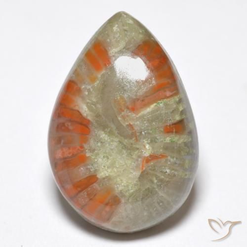 6.76ct Natural Multicolorido Coral, Formato de pêra, Opaco, Photo A