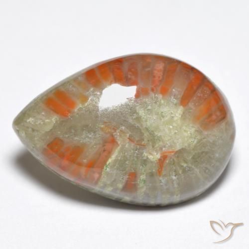 Coral Multicolorido Natural 6.76ct, Formato de pêra, Opaco