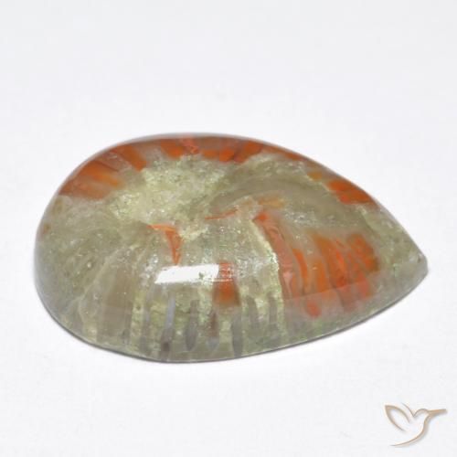 Coral Multicolorido Natural 6.76ct, Formato de pêra, Opaco